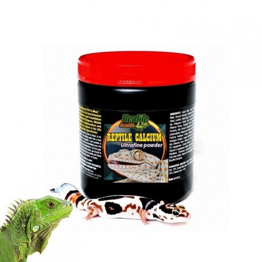 Cálcio para Répteis Iguana