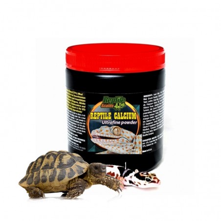 Cálcio e Vitamina para Jabuti