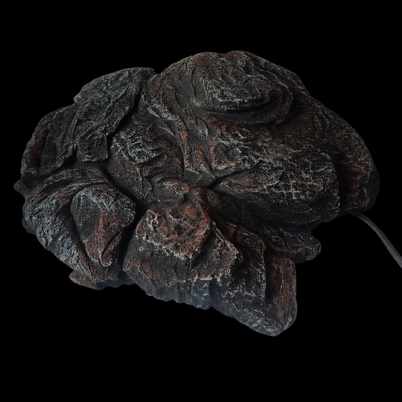 pedra aquecida repteis