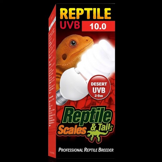 Lâmpada uvb para répteis