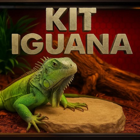 Lâmpada para Terrário de Iguana