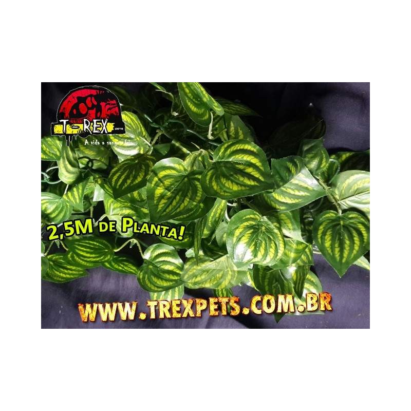 Planta Artificial 2,5m - Era GREEN