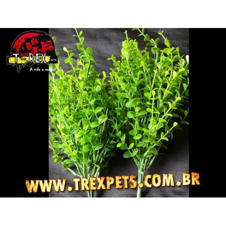 Planta Artificial - Croton Salvinia