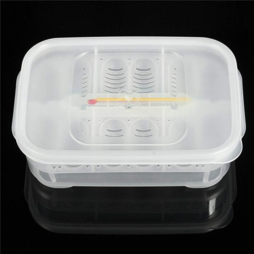 Bandeja de Incubação 12 ovos | Terrário