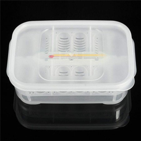 Bandeja de Incubação 12 ovos | Terrário