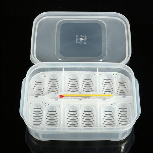 Bandeja de Incubação para repteis