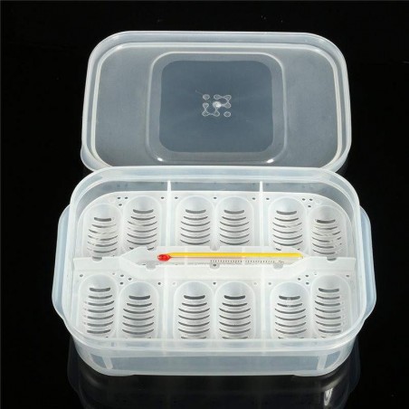 Bandeja de Incubação para repteis