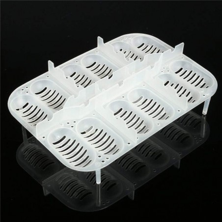 Bandeja de Incubação 12 ovos | Terrário