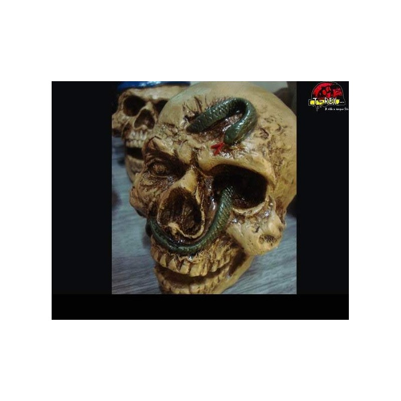 Crânio Caveira Serpente