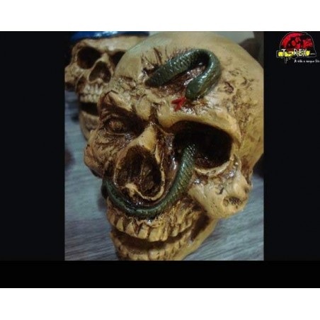 Crânio Caveira Serpente