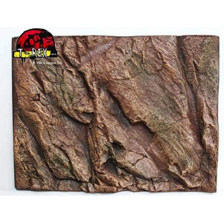 Background Rochoso 3d  Repteis | Iguana