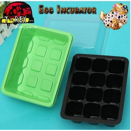 Bandeja de Incubação G 12 ovos | Terrário