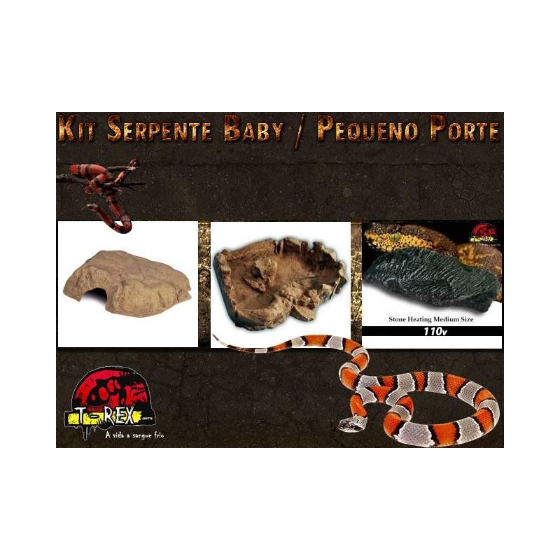Kit Serpentes P | CornSnake | Terrário | Exoterra