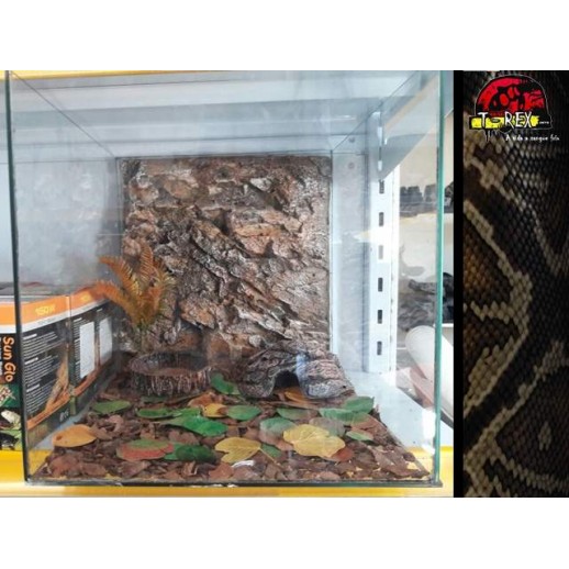Mini-Habitat Floresta 