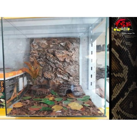 Mini-Habitat Floresta 
