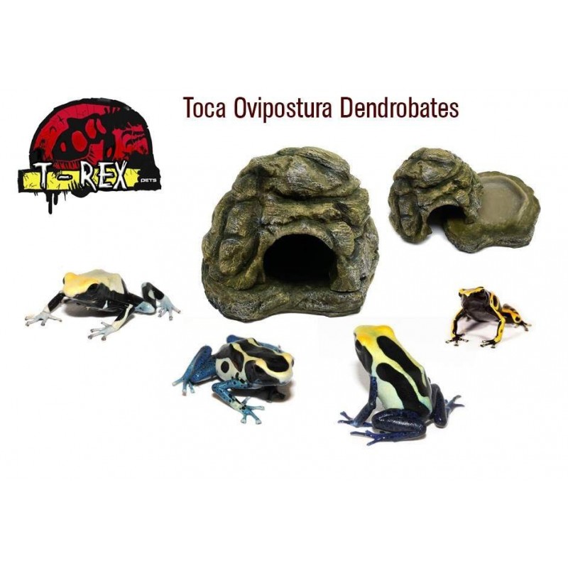 Toca Ovipostura Dendrobates