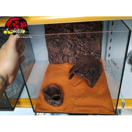 Terrário  |Leopard Gecko | Pogona Baby | Aranhas | Répteis 