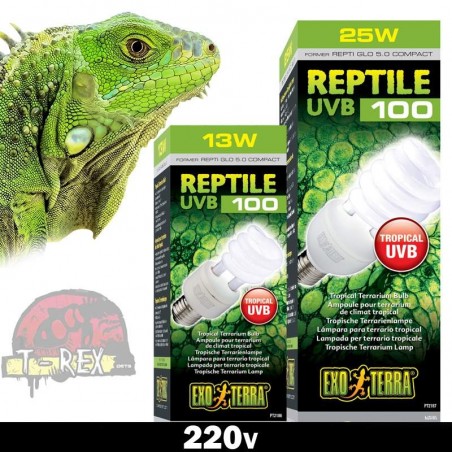 lampadas para iguana em 220v