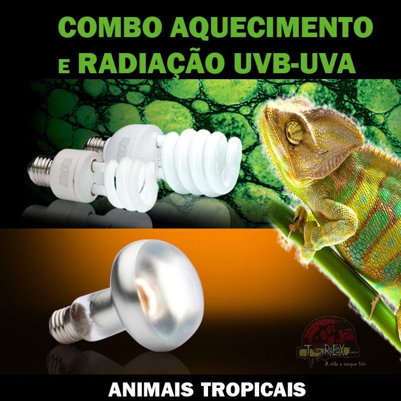 Lampada uvb repteis