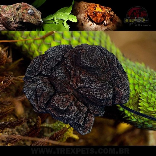 Pedra Aquecida Répteis