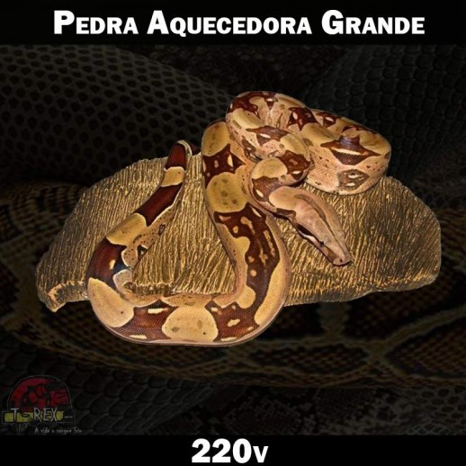 Aquecimento para Terrários