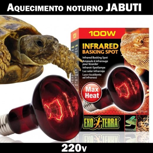 Aquecimento Noturno Jabutis