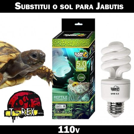 Lâmpada uvb para jabuti