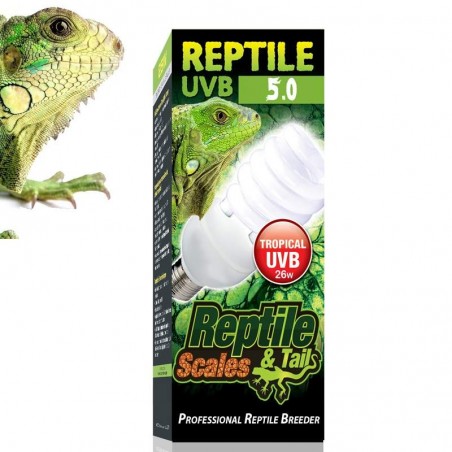 lampada para terrario de iguana