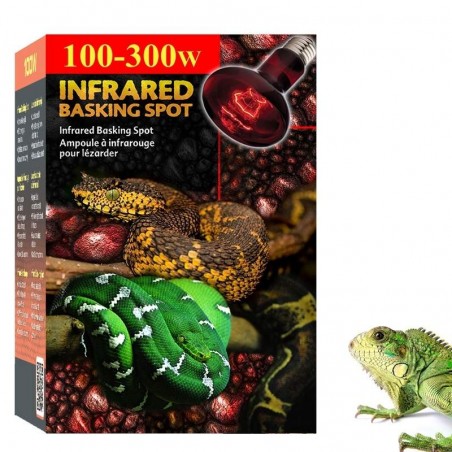 Lâmpada aquecedora para Iguana