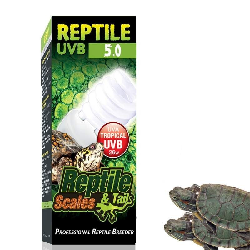 Lâmpada Uva Uvb para Tartaruga