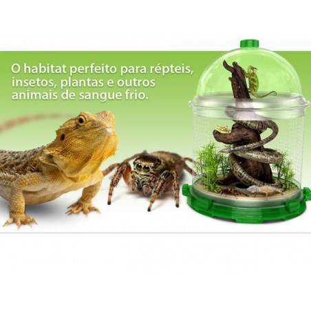 BioBubble