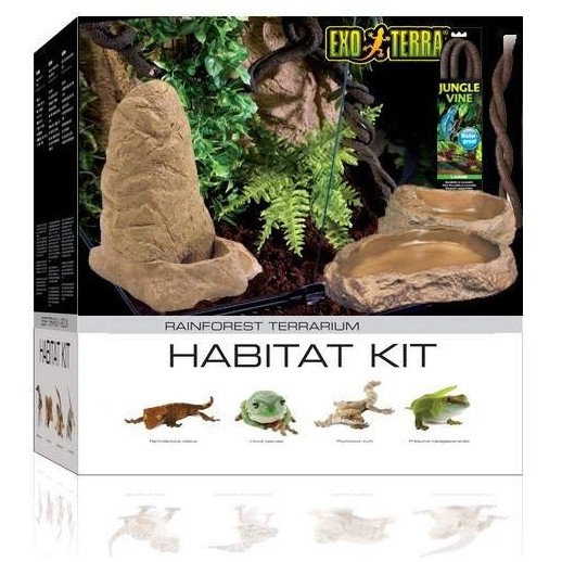 Kit Decoração Terrário Tropical