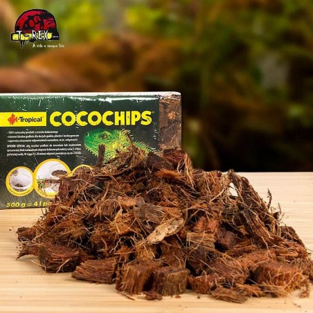 substrato de répteis e iguana