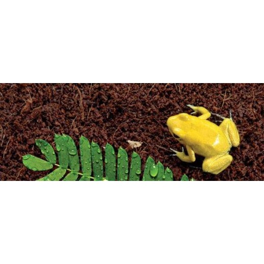 Substrato para repteis