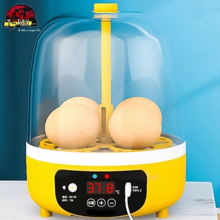 incubadora para aves e repteis