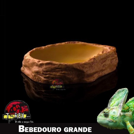 Bebedouro Lago Corn Snake