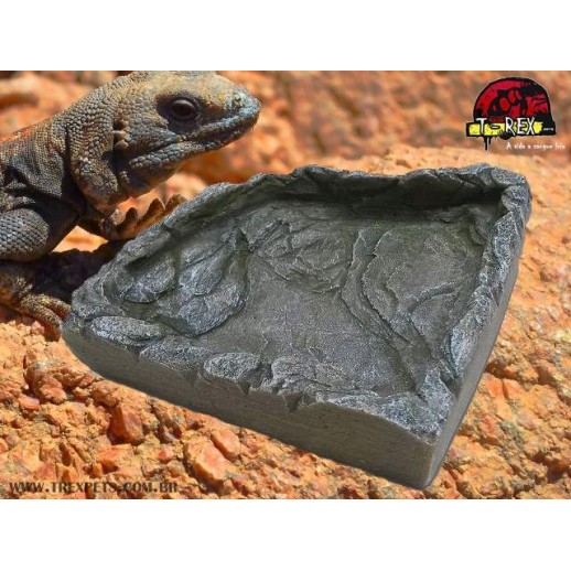 African Rock I Répteis | Iguana | Jabuti | Corn Snake 