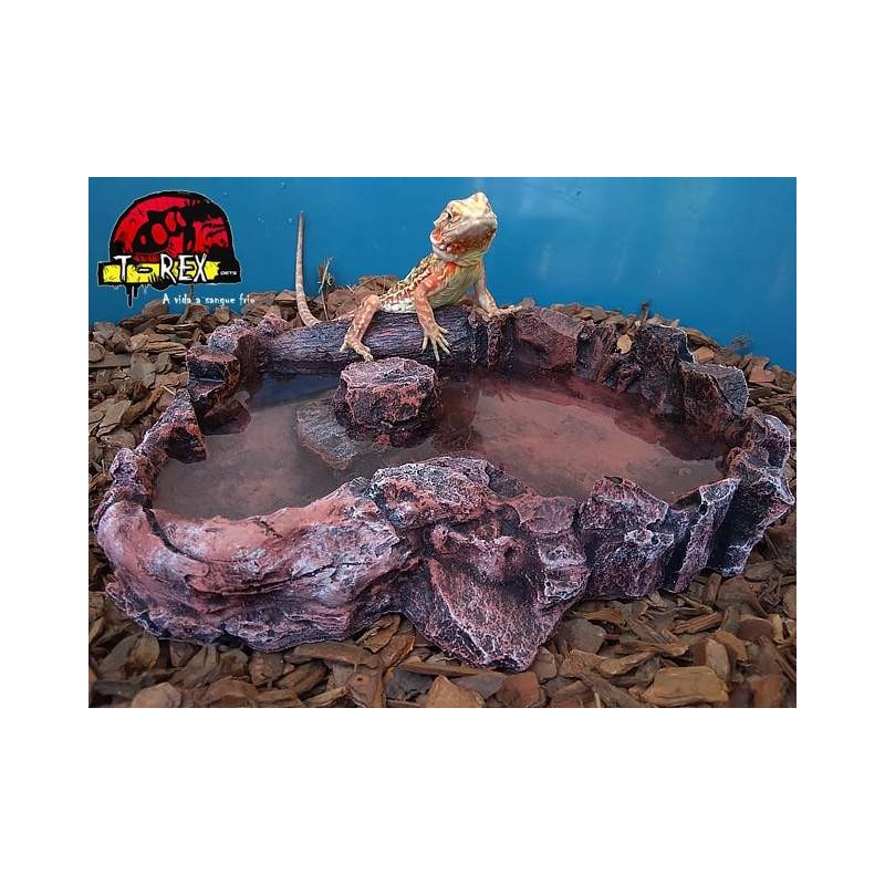 Boulder Corner Water Dish XL Répteis | Iguana